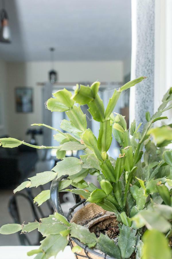 Luxury Skyline Apartment Пелекас Екстериор снимка